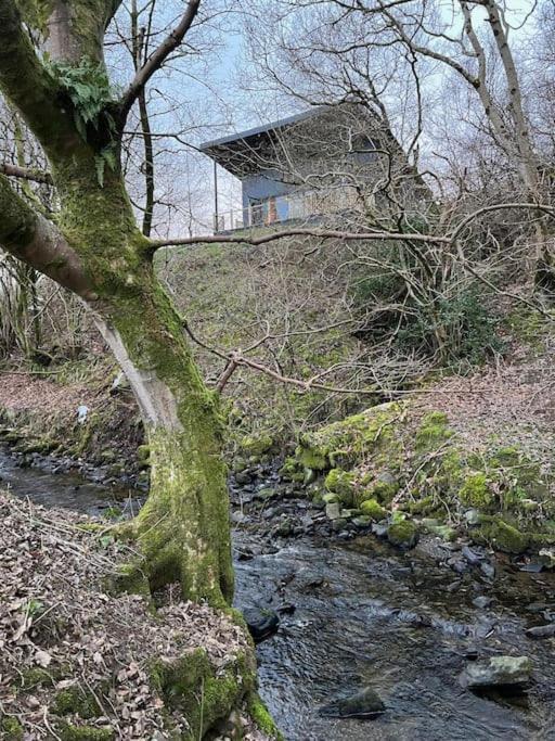 Luxury Lodge In The Treetops Llanbrynmair 外观 照片