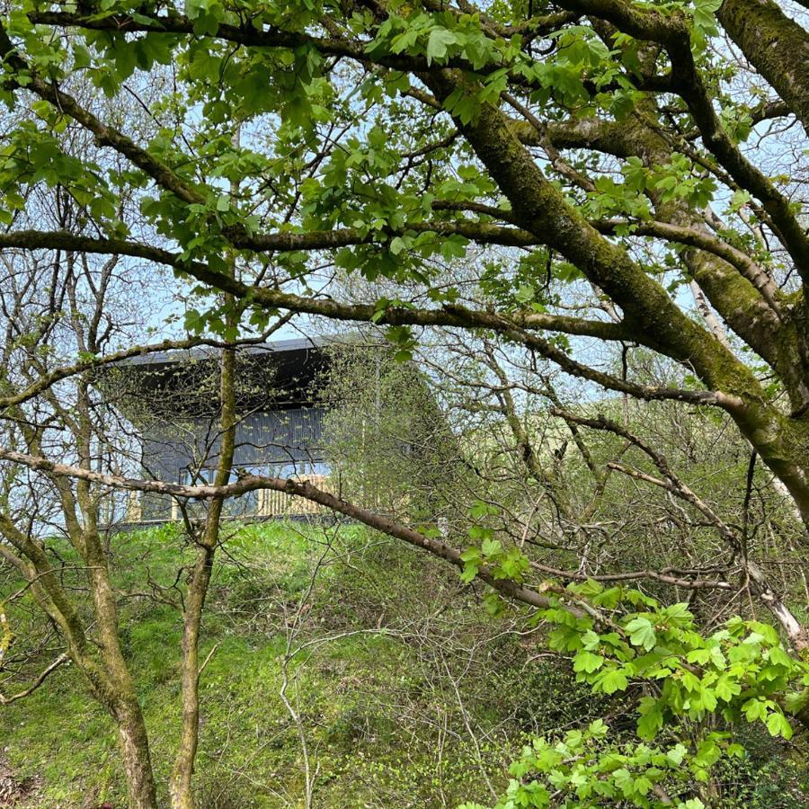 Luxury Lodge In The Treetops Llanbrynmair 外观 照片